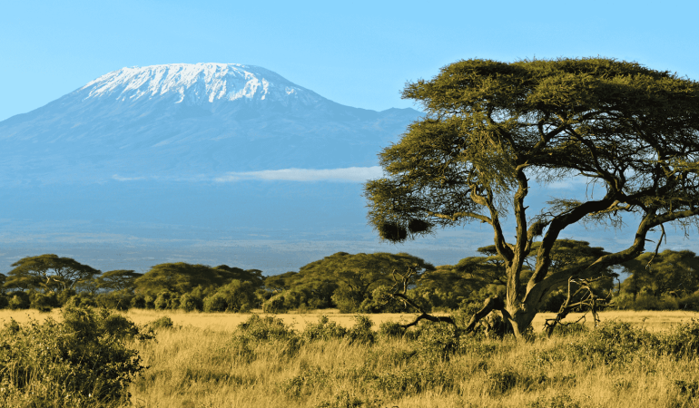 2-Day Amboseli Safari – Wander Amidst The African Elephants