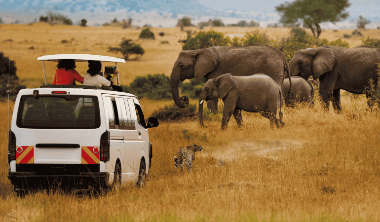 6-Day Kenyan Minivan Safari: Big Three Destinations, Big Five Adventures